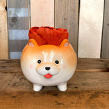 Medium Dog Planter