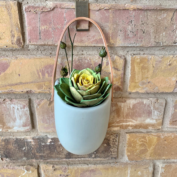 Green/Yellow Succulent in Hanging Vase